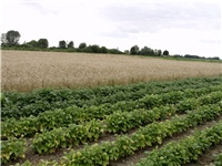ad82f474-Picture 056.jpg